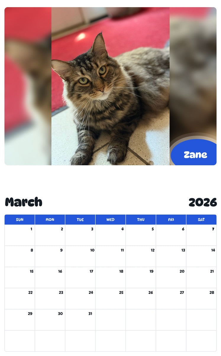 November 2025 - October 2026 Zane - Pawidols Pet Calendar