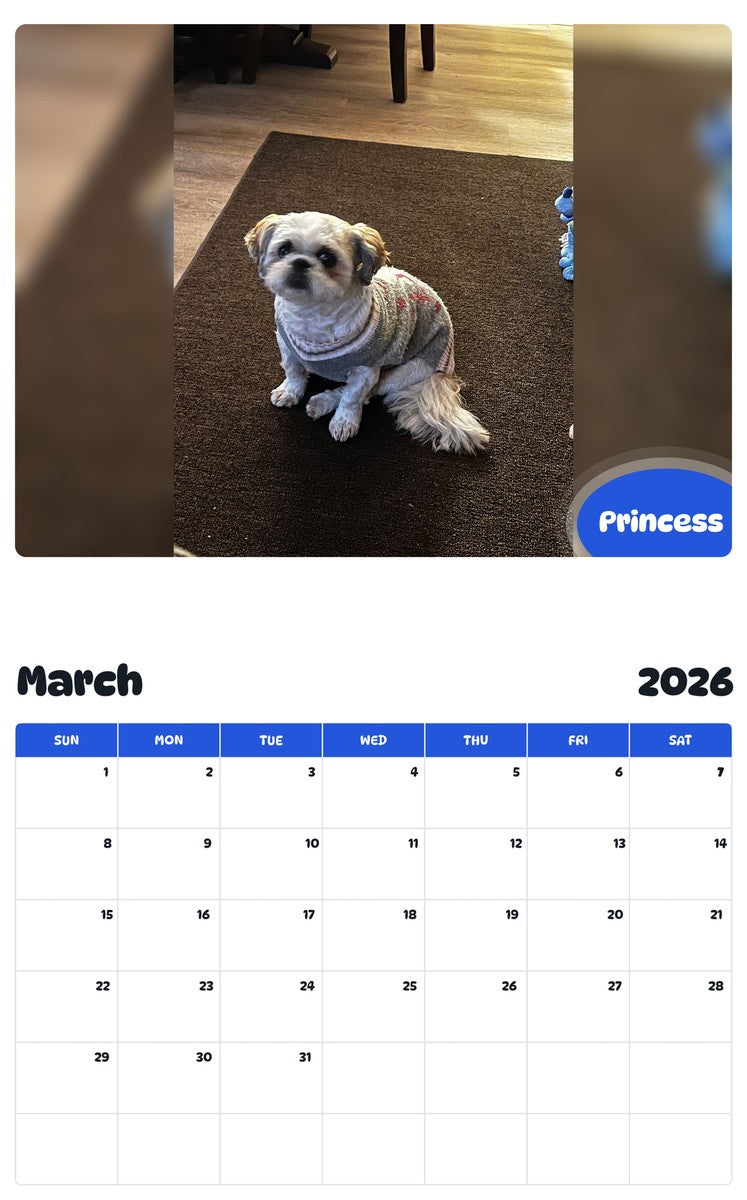 November 2025 - October 2026 Princess - Pawidols Pet Calendar