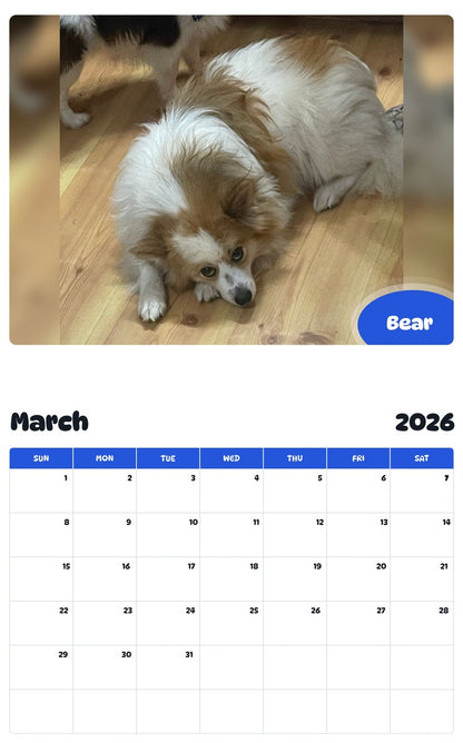November 2025 - October 2026 Bear - Pawidols Pet Calendar