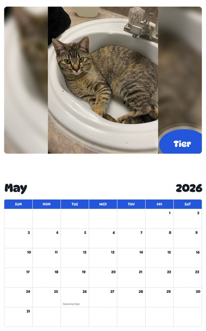 2026 - 2027 Tier - Pawidols Pet Calendar