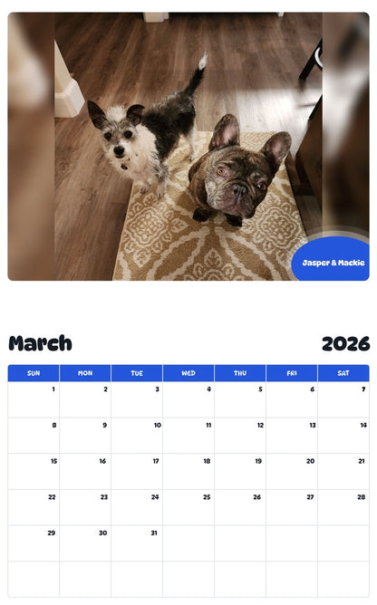 November 2025 - October 2026 Jasper & Mackie - Pawidols Pet Calendar