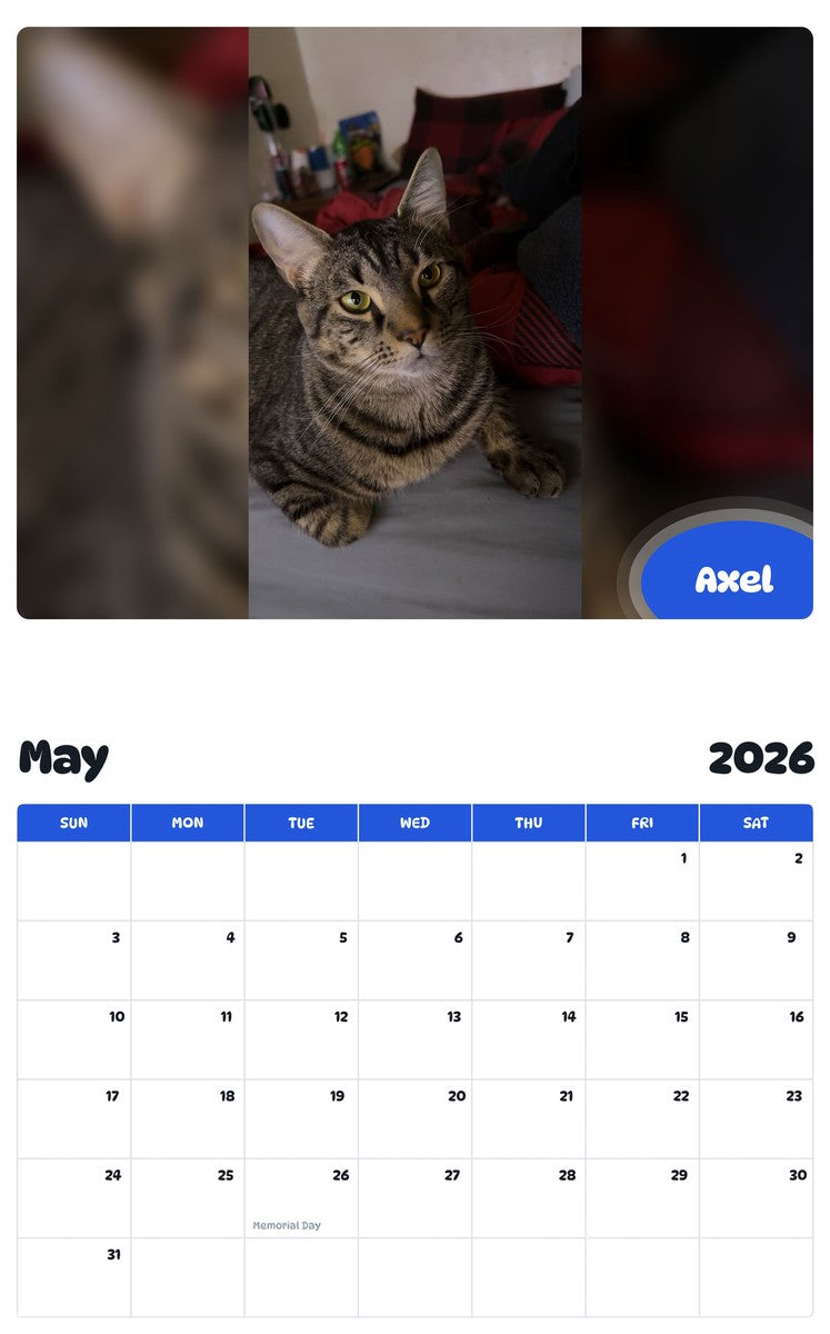 2026 - 2027 Axel - Pawidols Pet Calendar