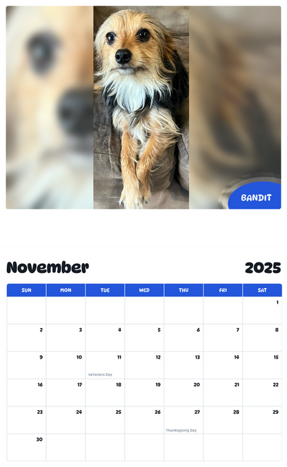 July 2025 - June 2026 bandit - Pawidols Pet Calendar