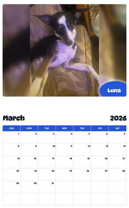 November 2025 - October 2026 Luna - Pawidols Pet Calendar