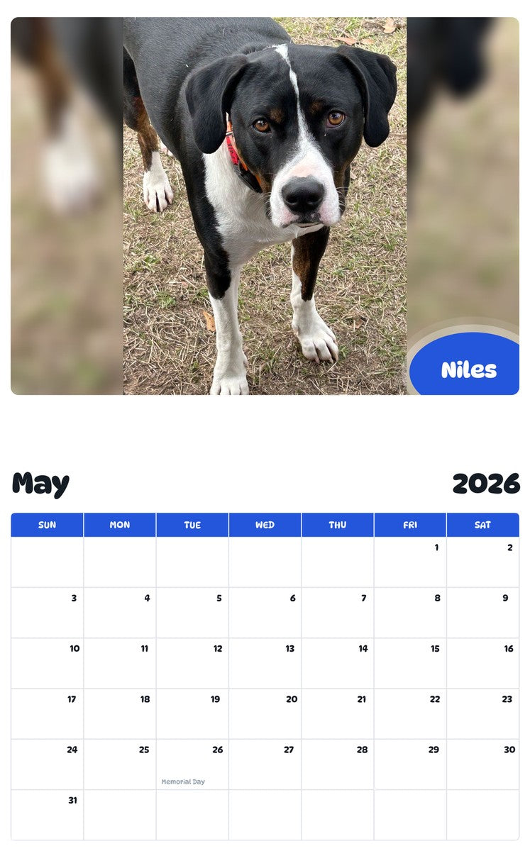 2026 - 2027 Niles - Pawidols Pet Calendar