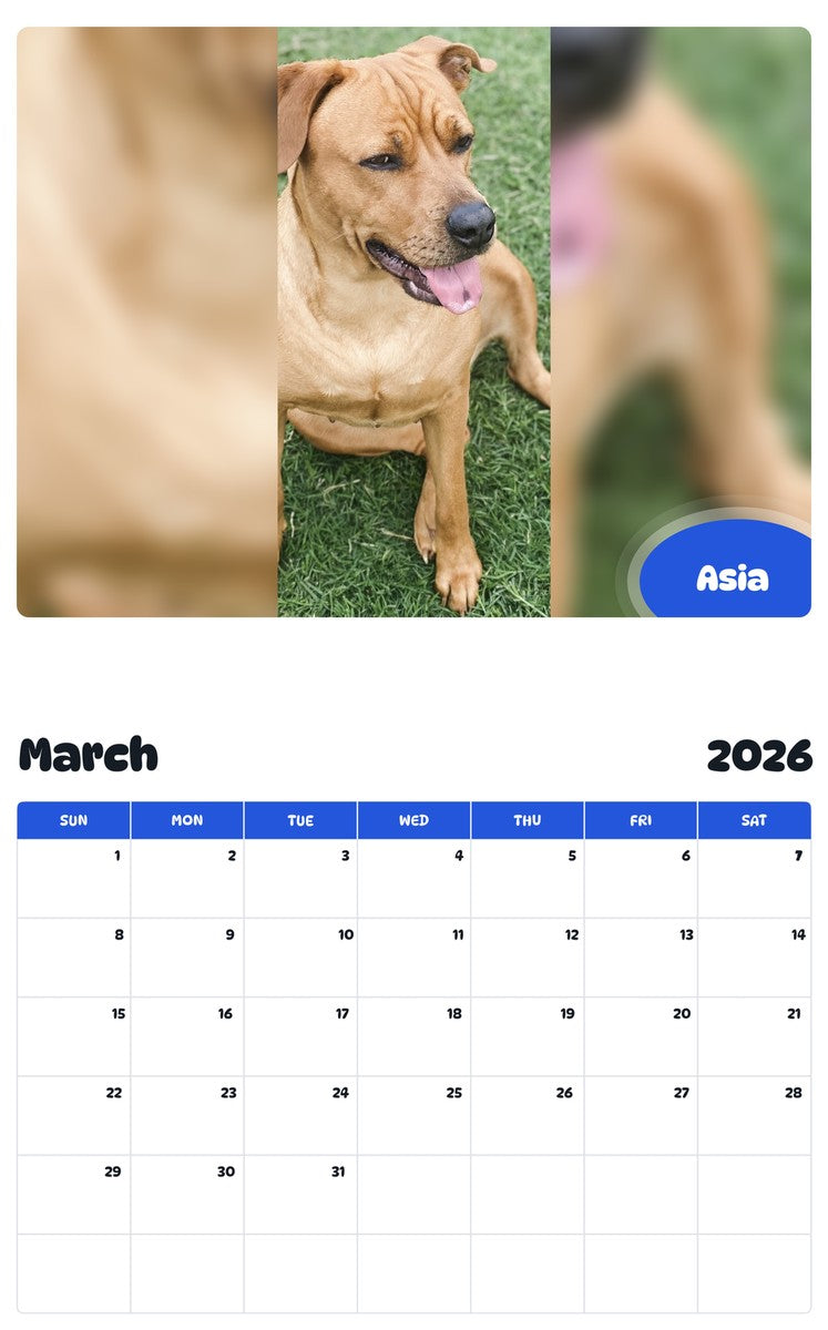 November 2025 - October 2026 Asia - Pawidols Pet Calendar