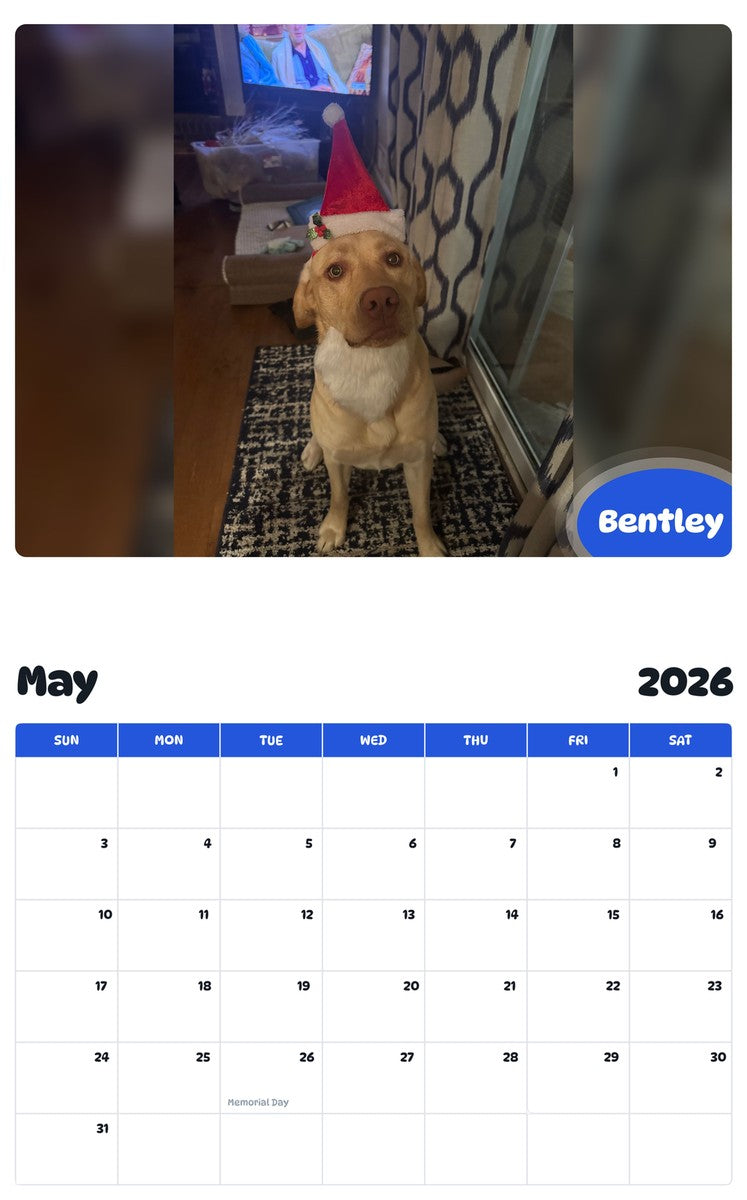 2026 - 2027 Bentley - Pawidols Pet Calendar