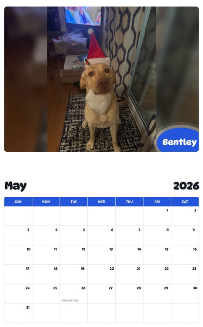 2026 - 2027 Bentley - Pawidols Pet Calendar