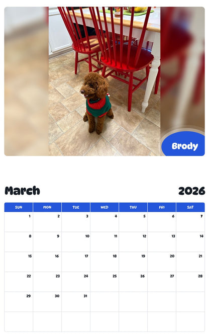 November 2025 - October 2026 Brody - Pawidols Pet Calendar