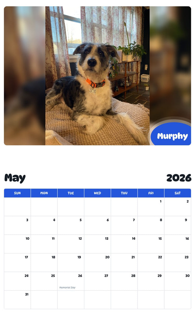 2026 - 2027 Murphy - Pawidols Pet Calendar
