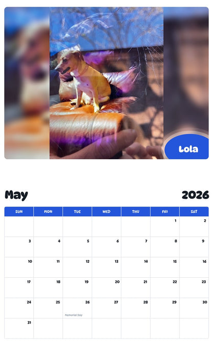 2026 - 2027 Lola - Pawidols Pet Calendar