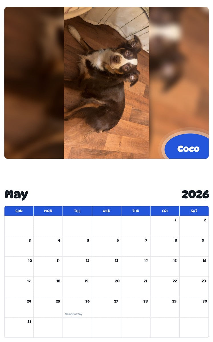 2026 - 2027 Coco - Pawidols Pet Calendar