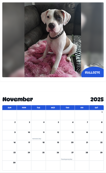 July 2025 - June 2026 Bullseye - Pawidols Pet Calendar