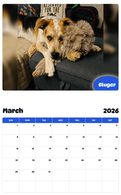 November 2025 - October 2026 Bluger - Pawidols Pet Calendar