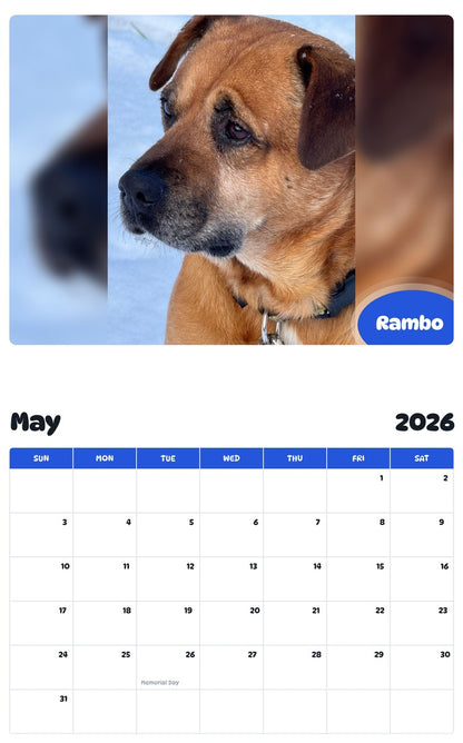 2026 - 2027 Rambo - Pawidols Pet Calendar