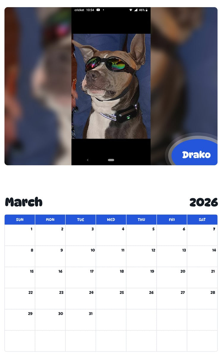 November 2025 - October 2026 Drako - Pawidols Pet Calendar