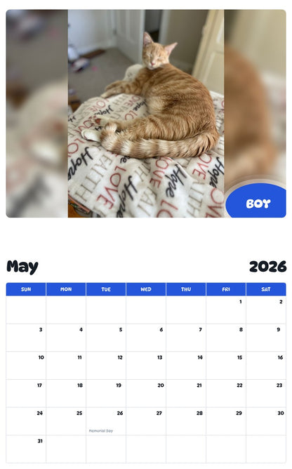 2026 - 2027 BOY - Pawidols Pet Calendar