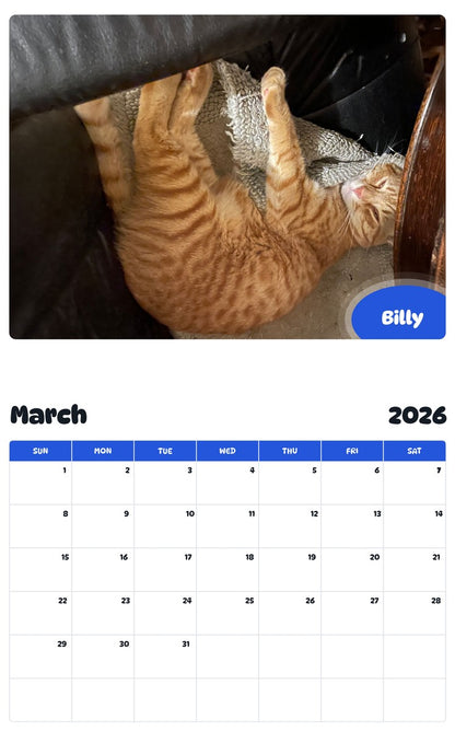 November 2025 - October 2026 Billy - Pawidols Pet Calendar