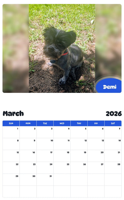 November 2025 - October 2026 Demi - Pawidols Pet Calendar