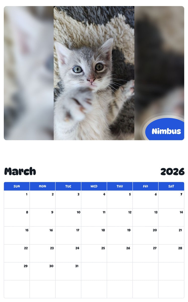 November 2025 - October 2026 Nimbus - Pawidols Pet Calendar