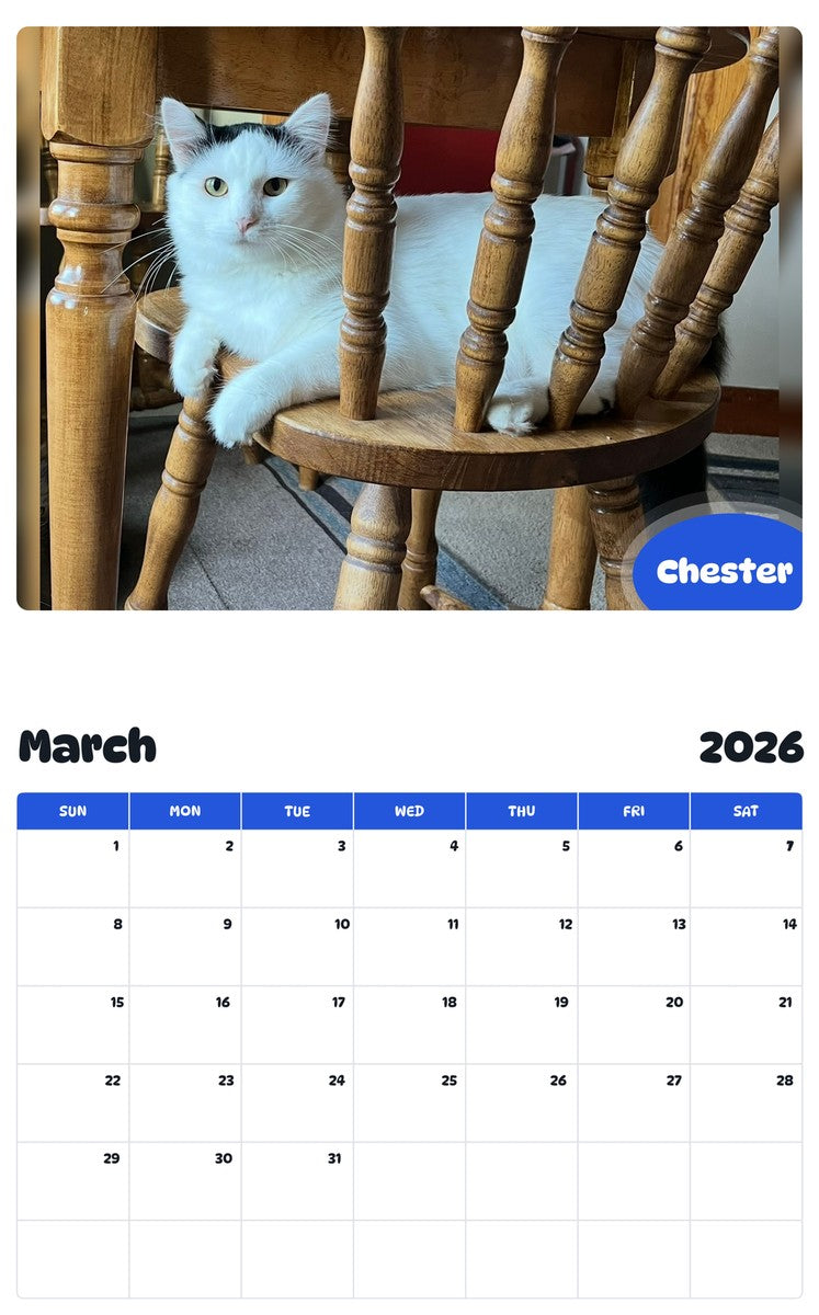 November 2025 - October 2026 Chester - Pawidols Pet Calendar