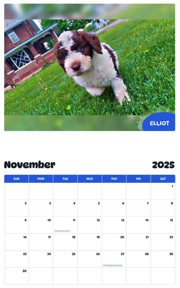 July 2025 - June 2026 Elliot - Pawidols Pet Calendar