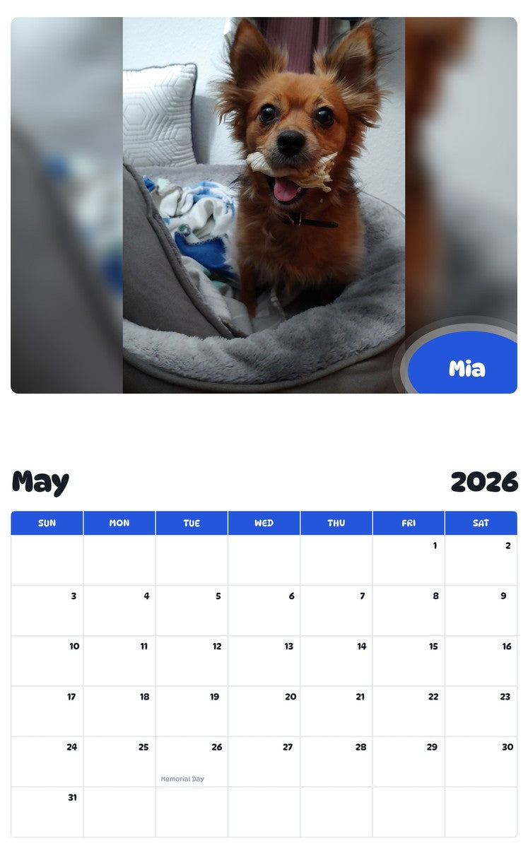 2026 - 2027 Mia - Pawidols Pet Calendar