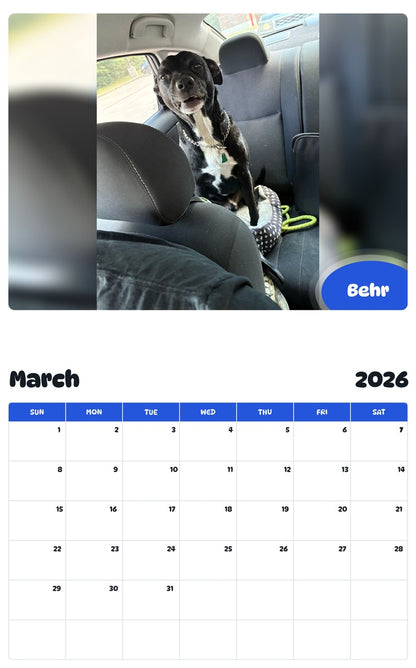 November 2025 - October 2026 Behr - Pawidols Pet Calendar