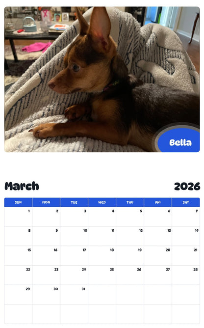 November 2025 - October 2026 Bella - Pawidols Pet Calendar
