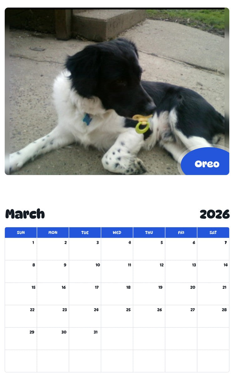November 2025 - October 2026 Oreo - Pawidols Pet Calendar