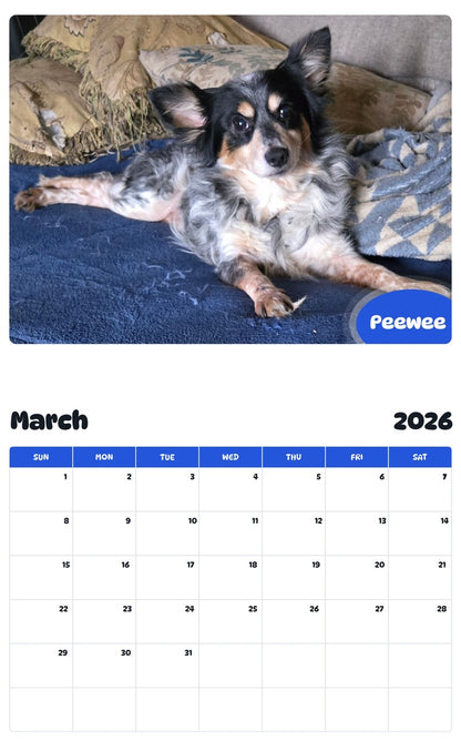 November 2025 - October 2026 Peewee - Pawidols Pet Calendar