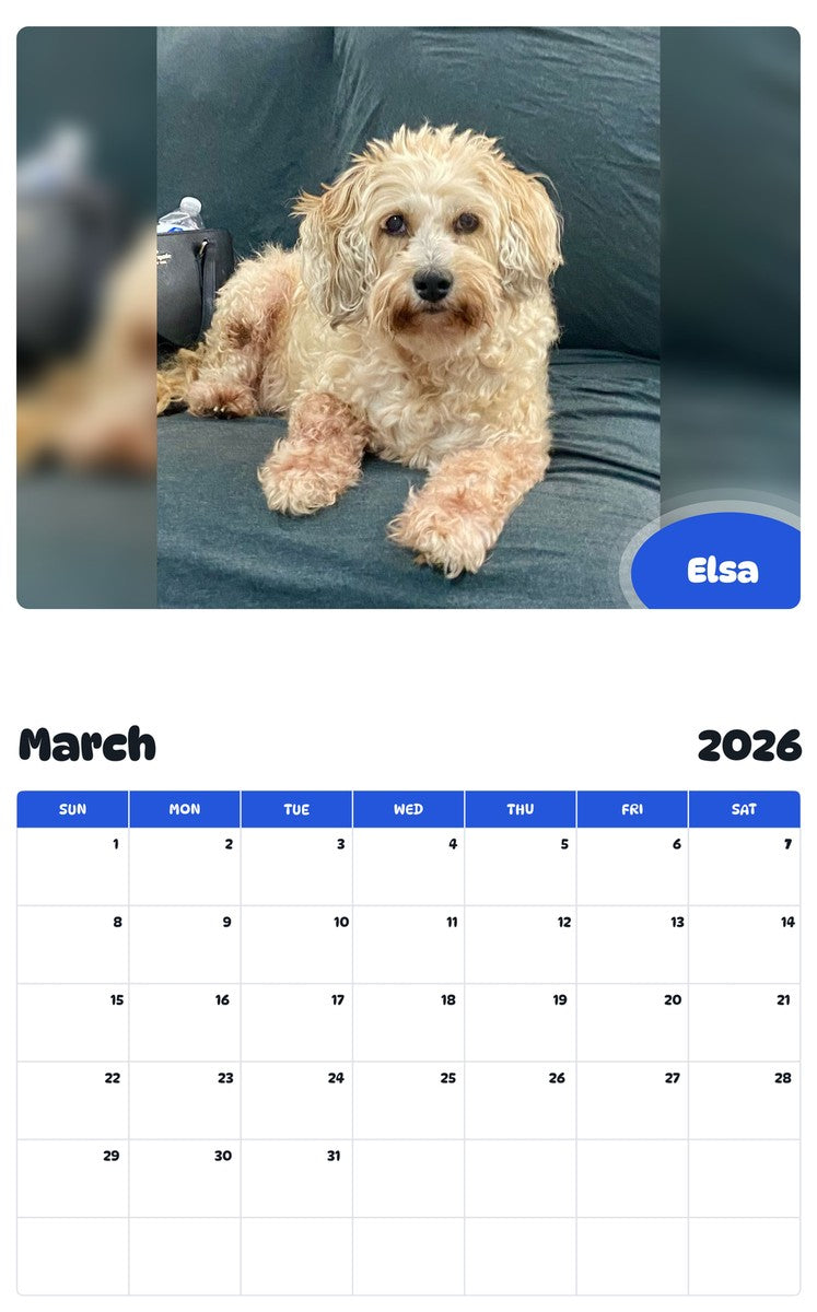 November 2025 - October 2026 Elsa - Pawidols Pet Calendar