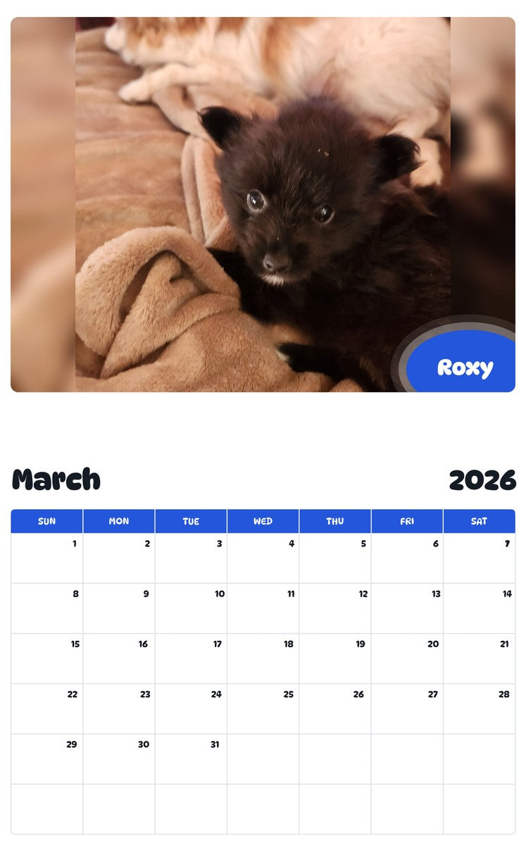 November 2025 - October 2026 Roxy - Pawidols Pet Calendar