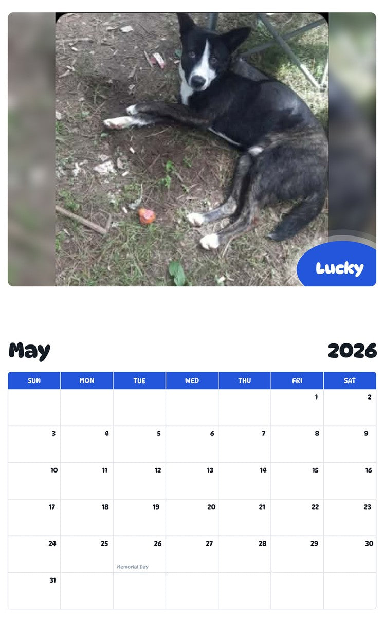 2026 - 2027 Lucky - Pawidols Pet Calendar