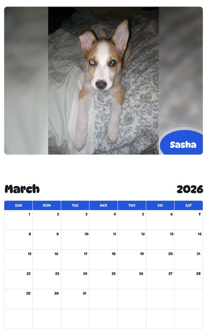 November 2025 - October 2026 Sasha - Pawidols Pet Calendar