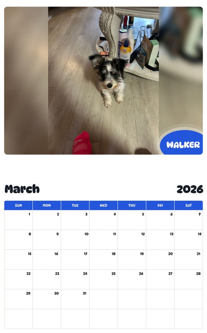 November 2025 - October 2026 WALKER - Pawidols Pet Calendar
