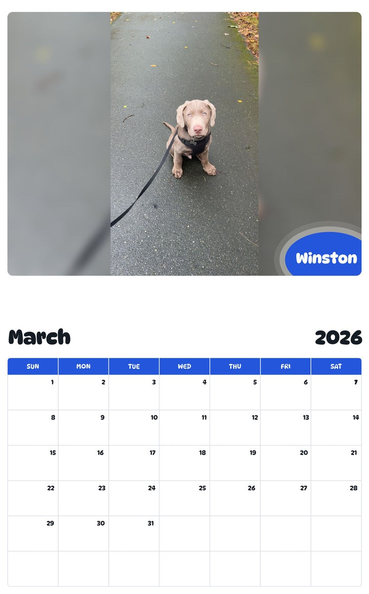 November 2025 - October 2026 Winston - Pawidols Pet Calendar