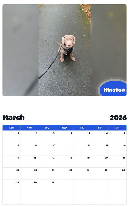 November 2025 - October 2026 Winston - Pawidols Pet Calendar