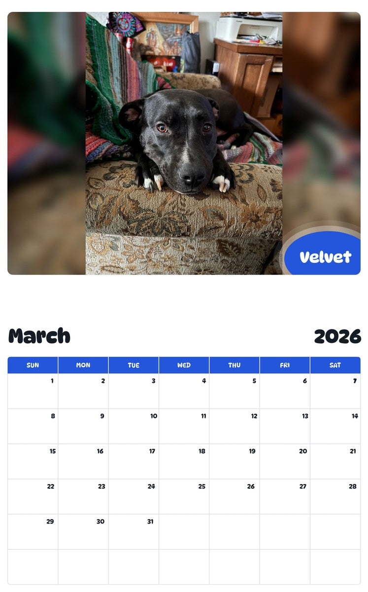 November 2025 - October 2026 Velvet - Pawidols Pet Calendar