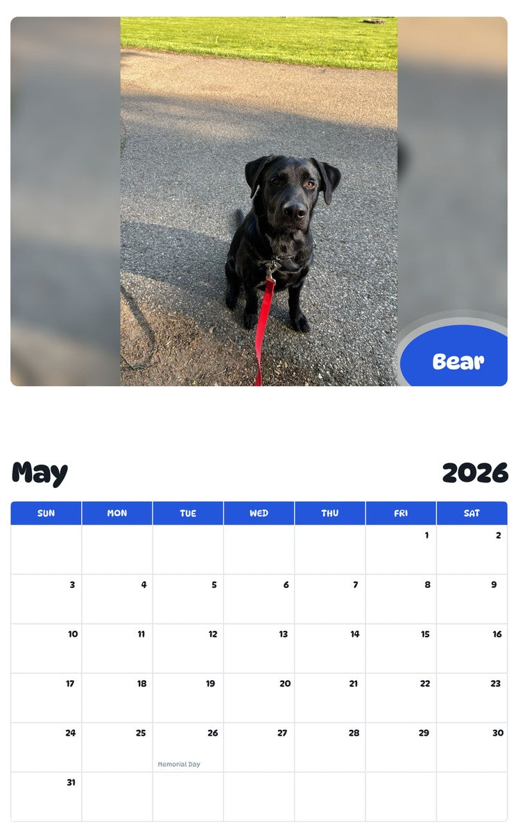 2026 - 2027 Bear - Pawidols Pet Calendar