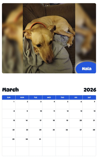 November 2025 - October 2026 Nala - Pawidols Pet Calendar