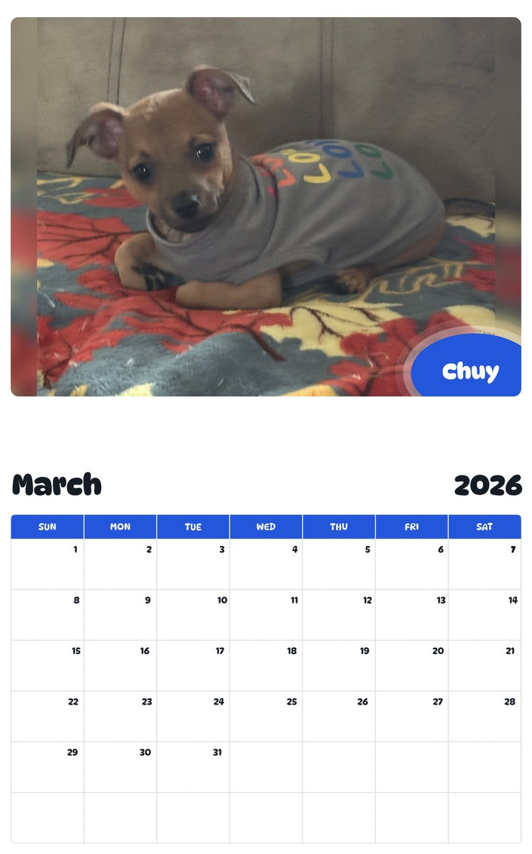 November 2025 - October 2026 Chuy - Pawidols Pet Calendar