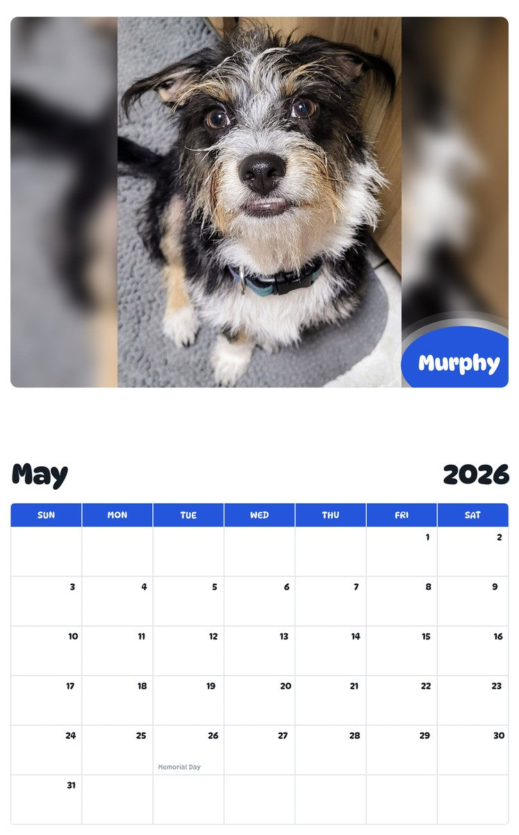 2026 - 2027 Murphy - Pawidols Pet Calendar