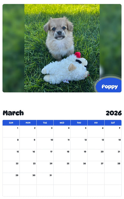 November 2025 - October 2026 Poppy - Pawidols Pet Calendar