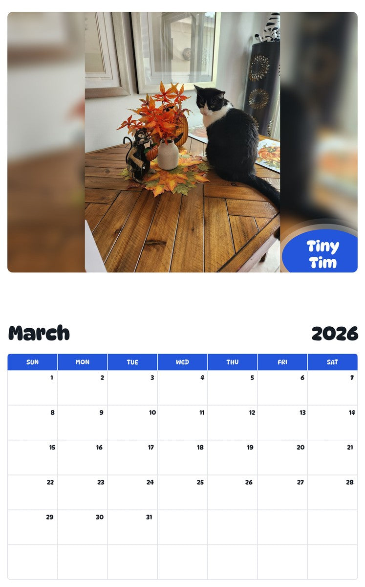 November 2025 - October 2026 Tiny Tim - Pawidols Pet Calendar