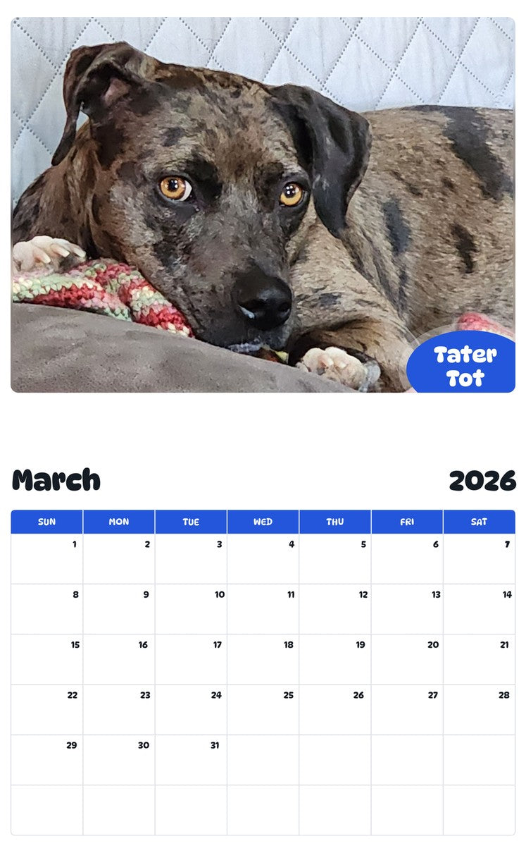 November 2025 - October 2026 Tater Tot - Pawidols Pet Calendar