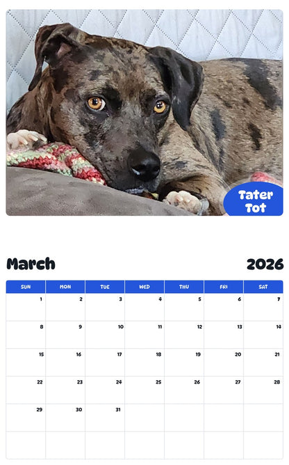 November 2025 - October 2026 Tater Tot - Pawidols Pet Calendar
