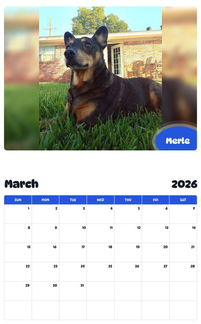 November 2025 - October 2026 Merle - Pawidols Pet Calendar