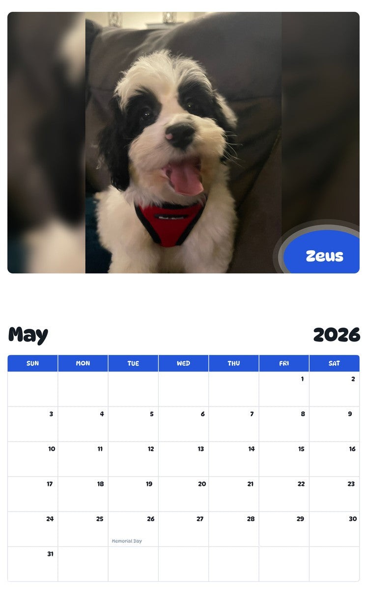 2026 - 2027 Zeus - Pawidols Pet Calendar