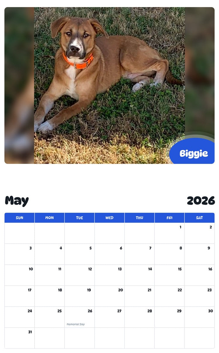 2026 - 2027 Biggie - Pawidols Pet Calendar